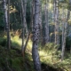 Jan Langer landart Südtirol Alto Adige South Tyrol Italy